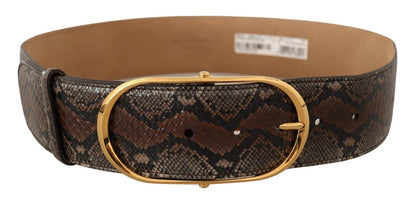 Dolce & Gabbana Elegant Brown Leather Belt With Gold Buckle