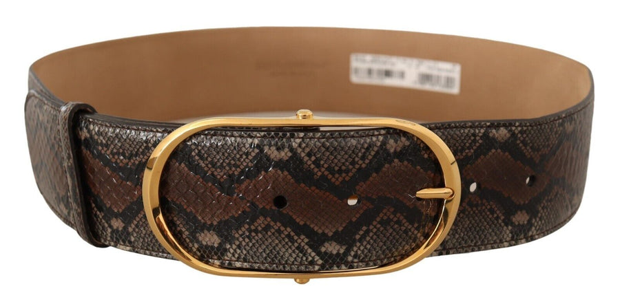 Dolce & Gabbana Elegant Brown Leather Belt With Gold Buckle