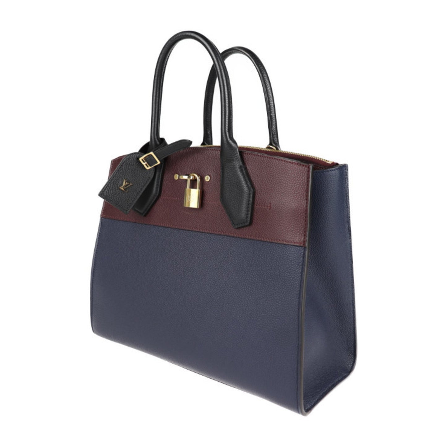 Louis Vuitton Multi Leather City Steamer