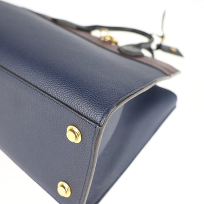 Louis Vuitton Multi Leather City Steamer
