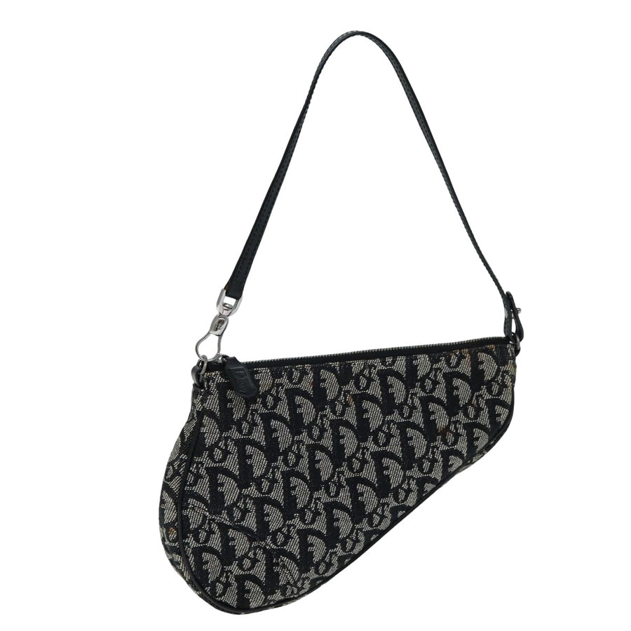 Dior Mini Saddle Bag Diorissimo Style