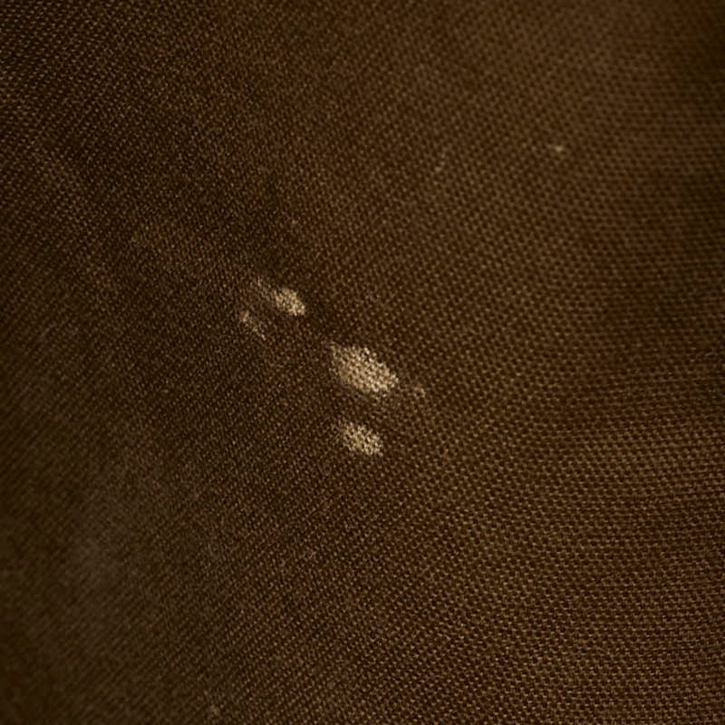 192105459.jpg