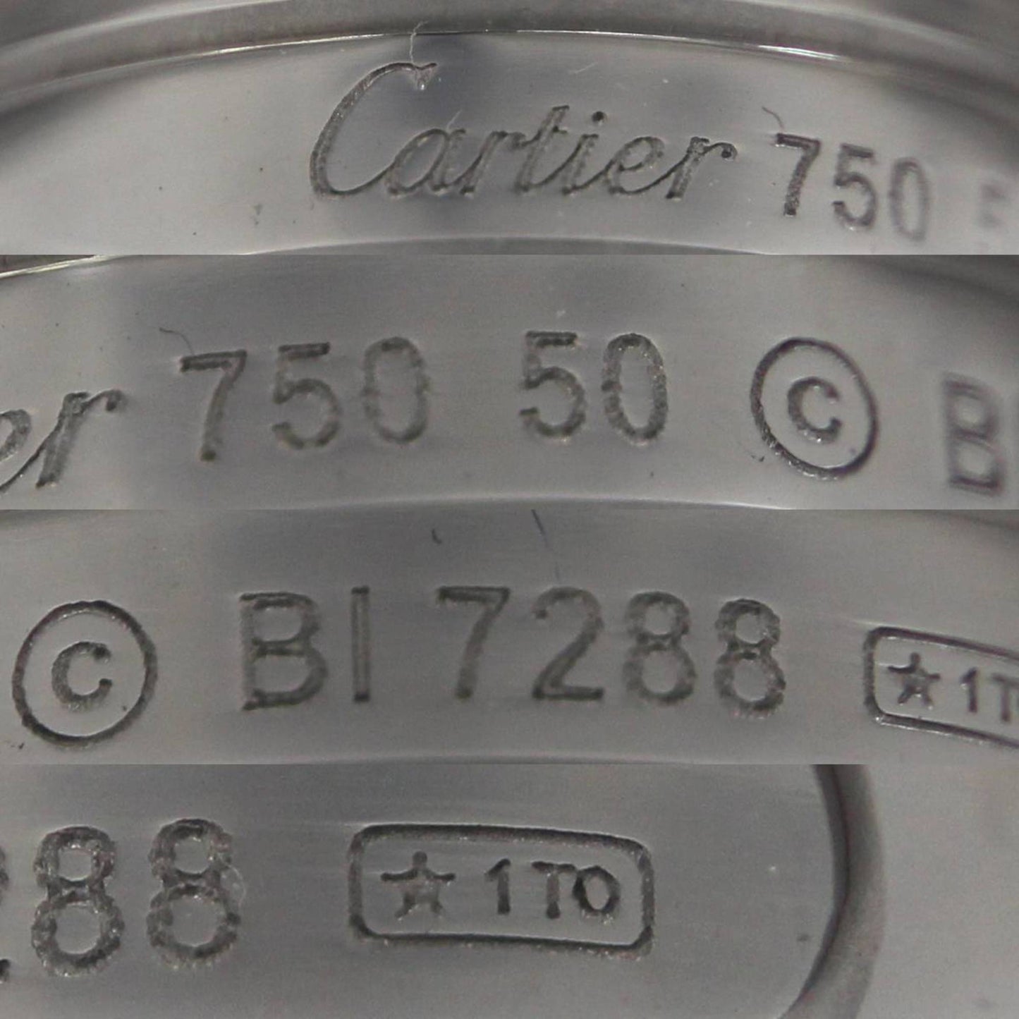 192122264.jpg