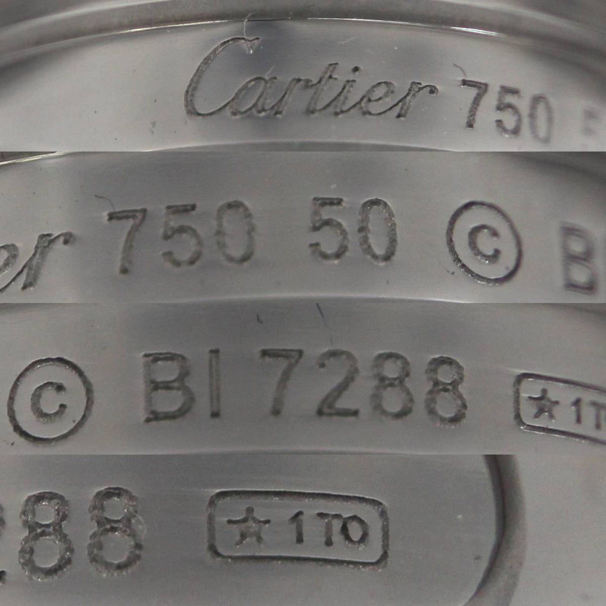 192122264.jpg