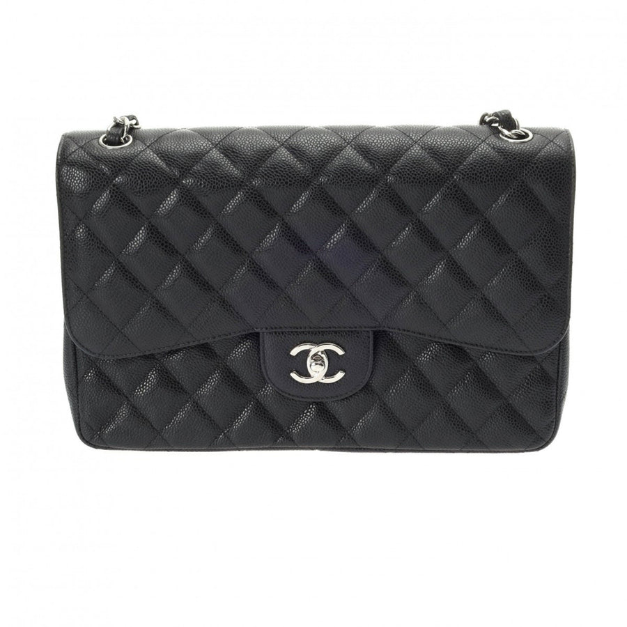 Chanel Classic Double Flap Bag 255