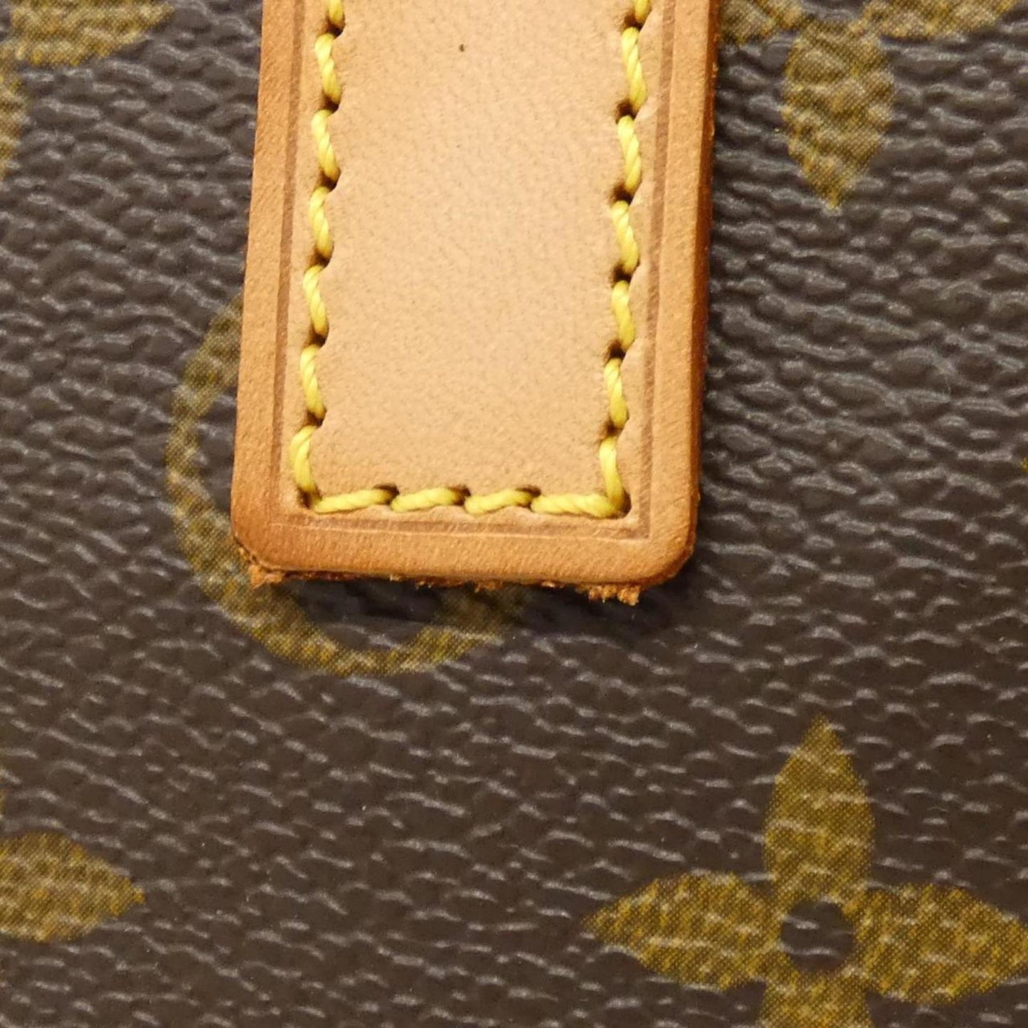195199602.jpg