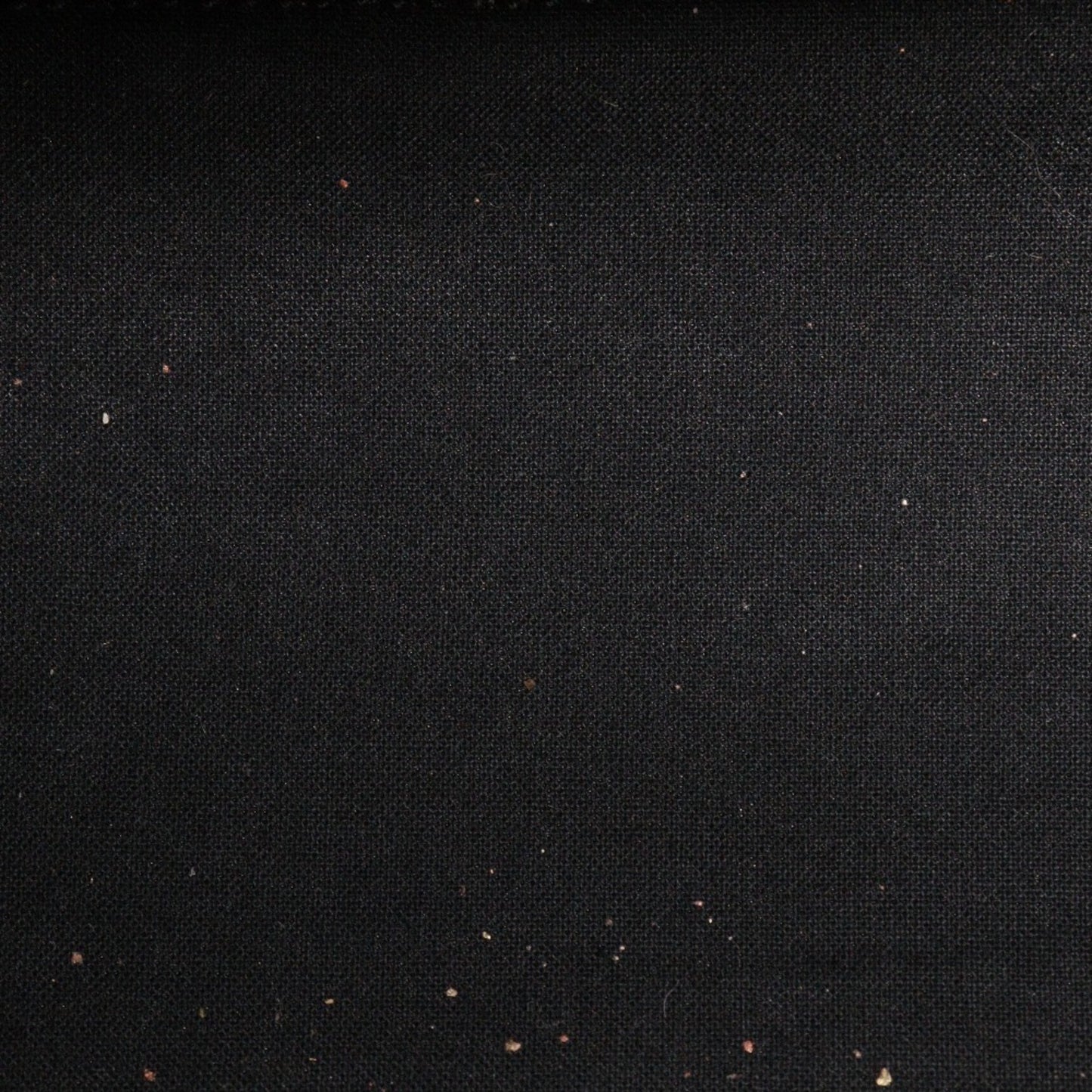 197222574.jpg