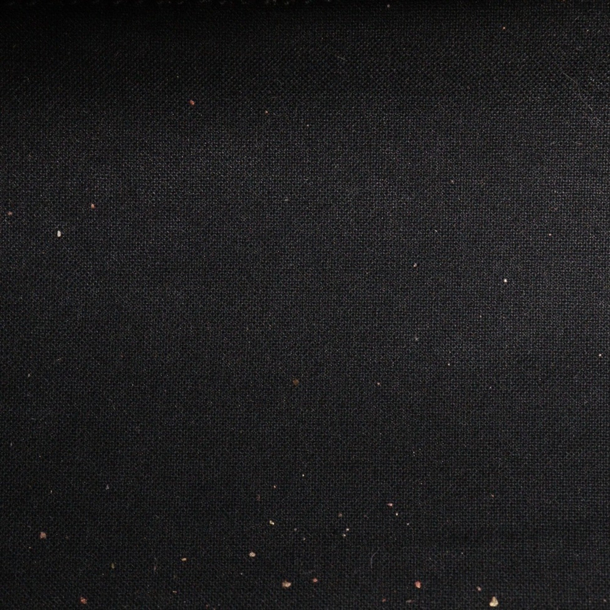197222574.jpg