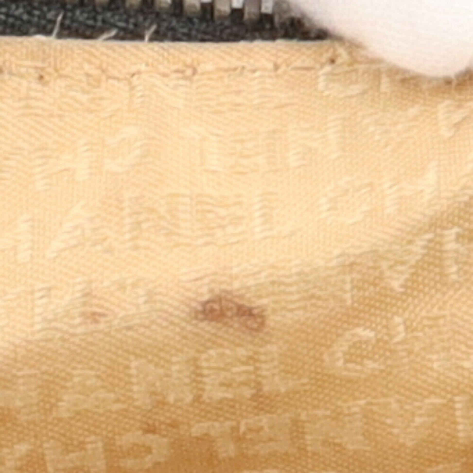197224295.jpg