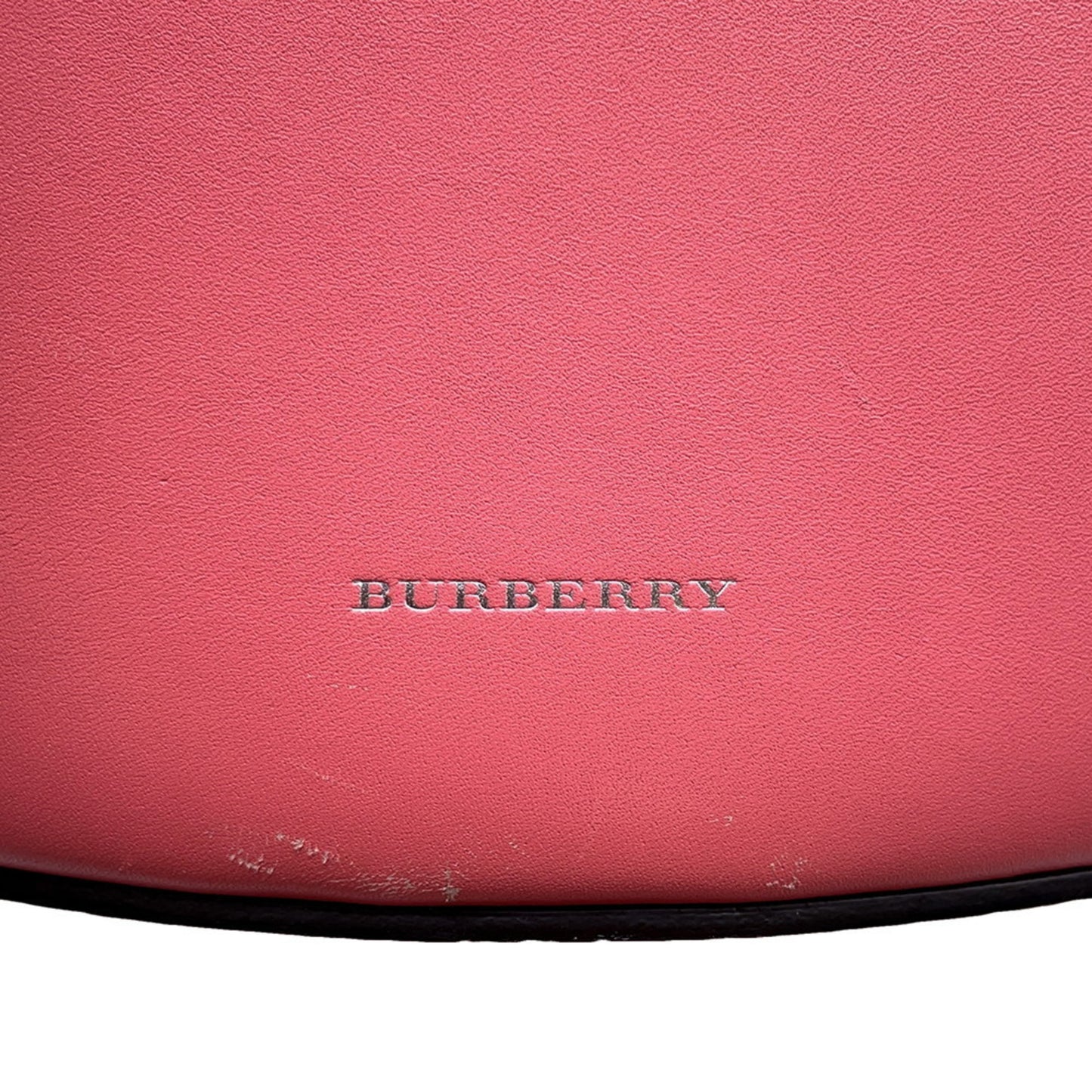 Burberry Others Pink Handbags