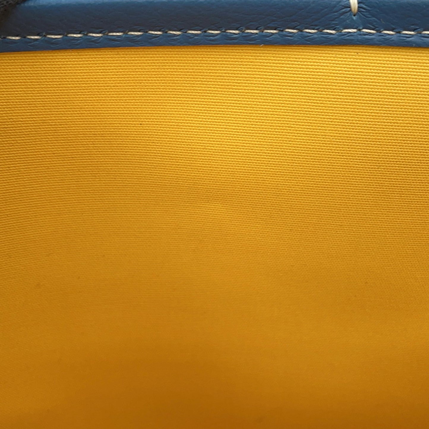 Goyard Canvas Blue Tote Bags