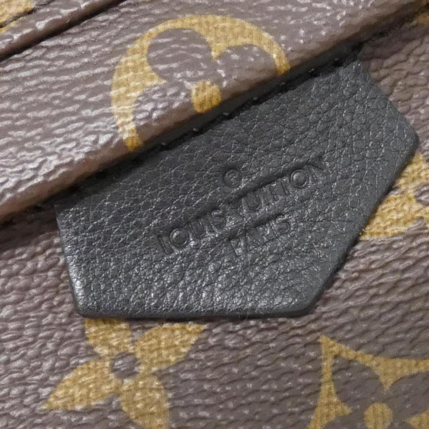 Louis Vuitton Monogram Canvas Brown Backpacks
