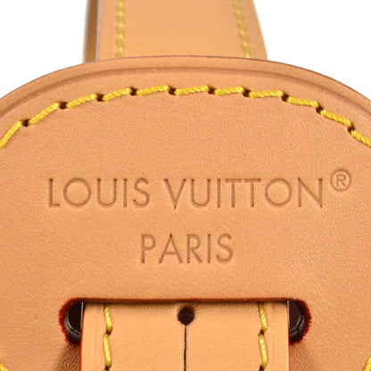 Louis Vuitton Monogram Canvas Brown Shoulder Bags