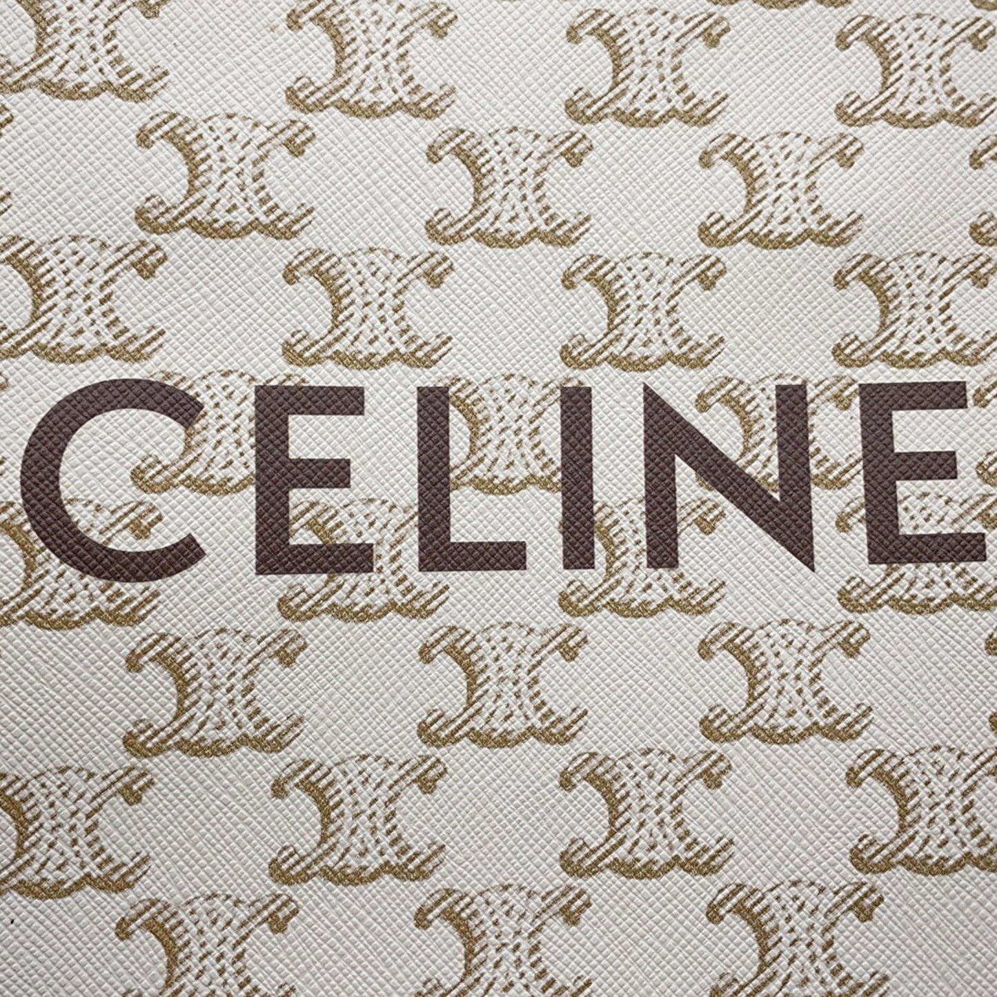 Celine Pvc White Shoulder Bags