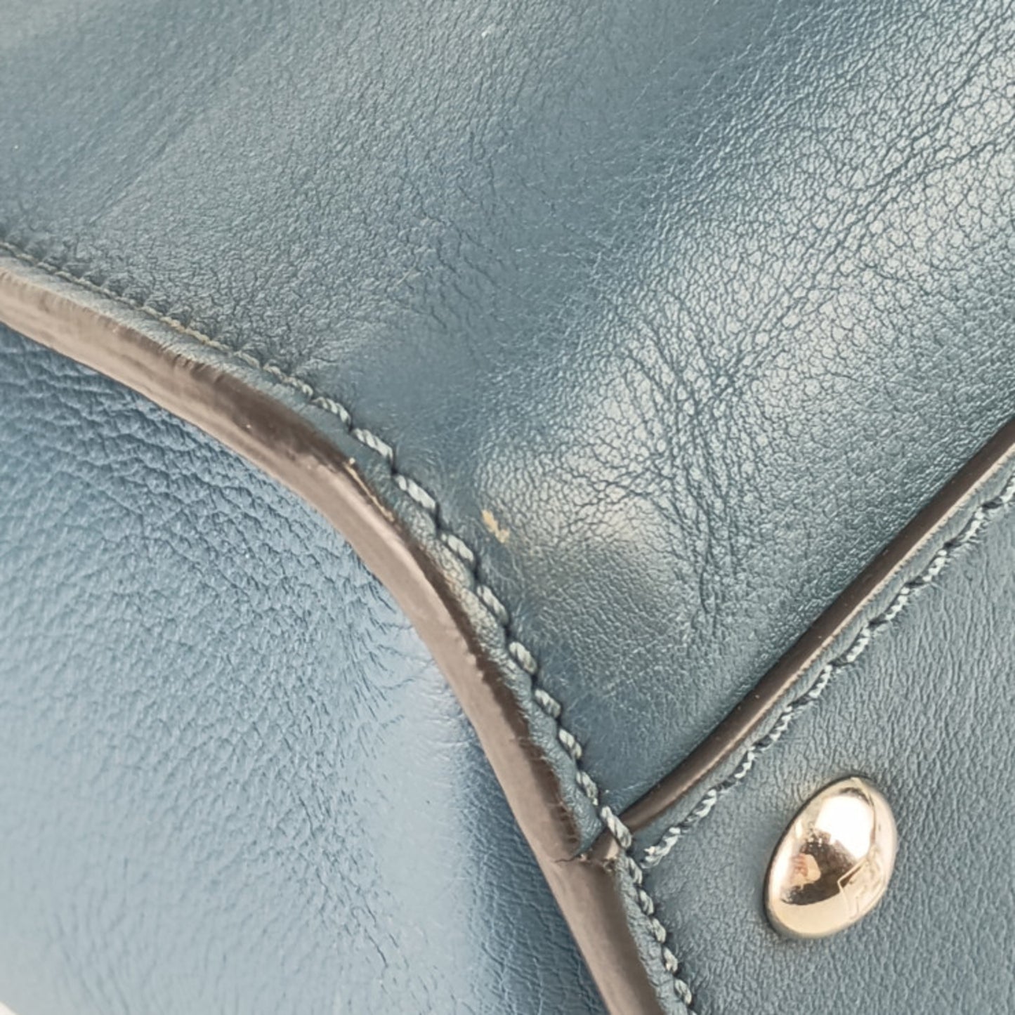 Fendi Others Blue Handbags