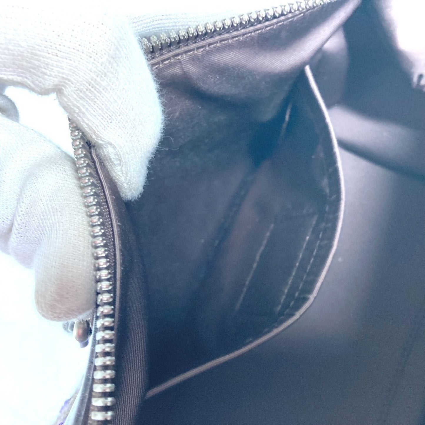 Louis Vuitton Others Purple Handbags