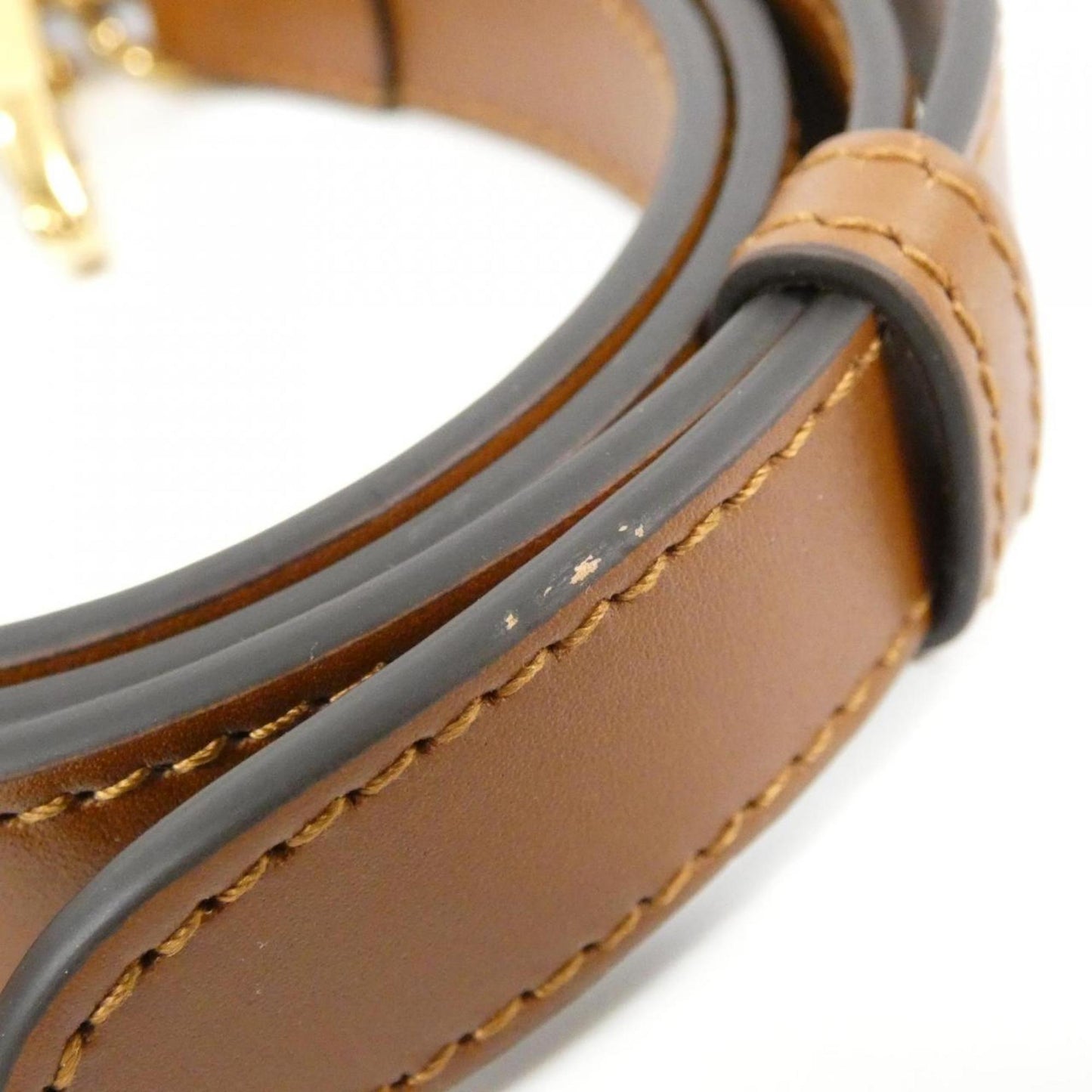 Gucci Others Brown Handbags