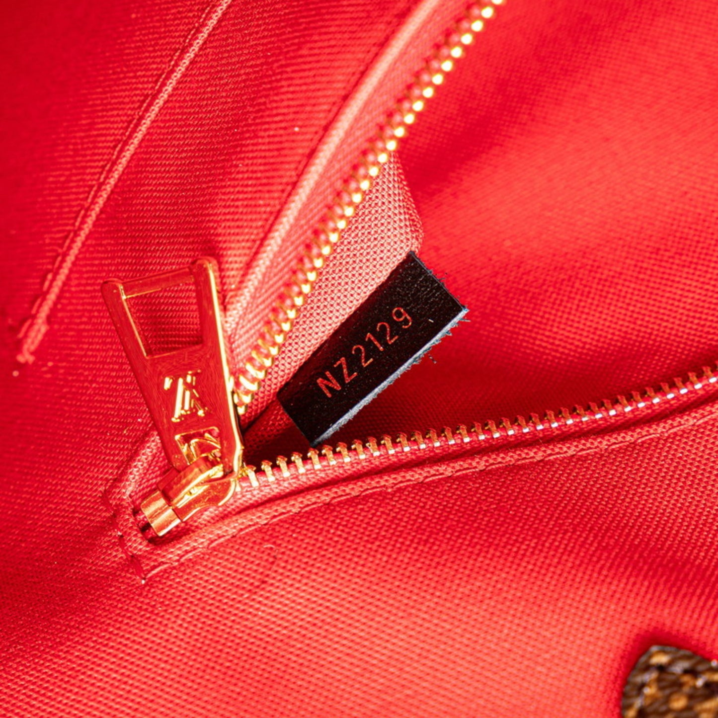 Louis Vuitton Pvc Brown Handbags