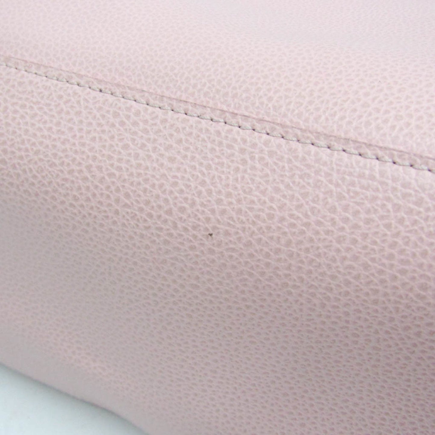 Longchamp Others Pink Shoulder Bags