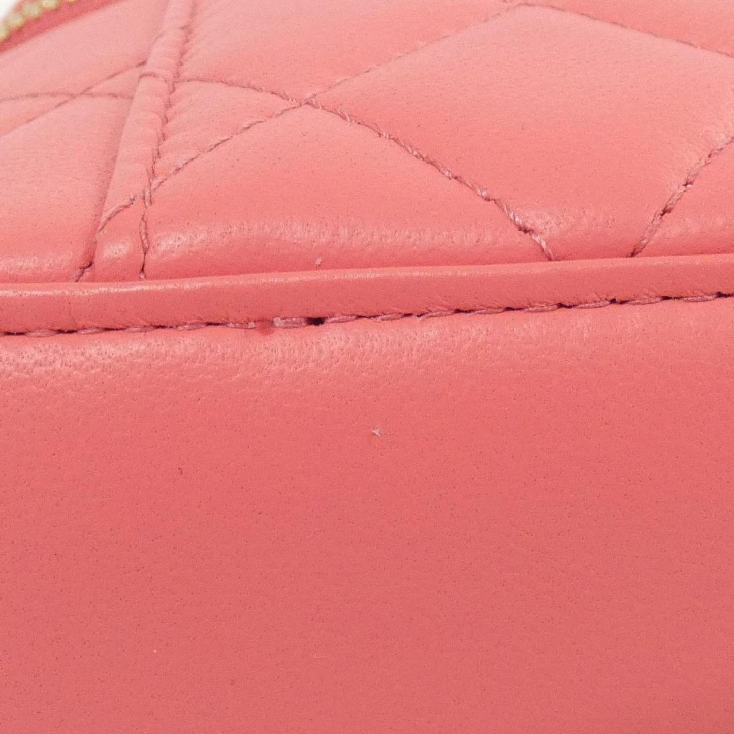 Chanel Others Pink Shoulder Bags