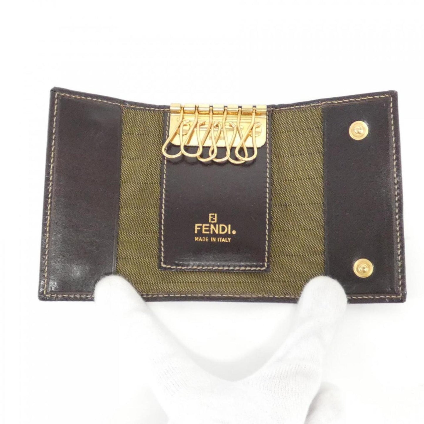 Fendi Canvas Brown Cases
