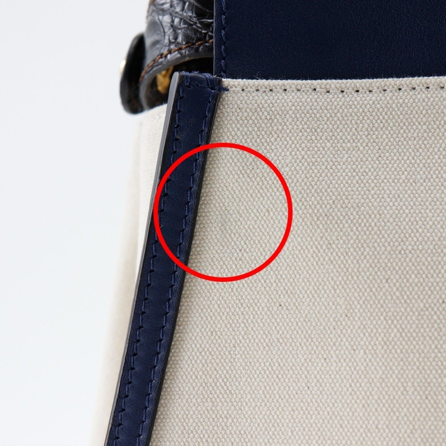 Fendi Canvas Blue Handbags