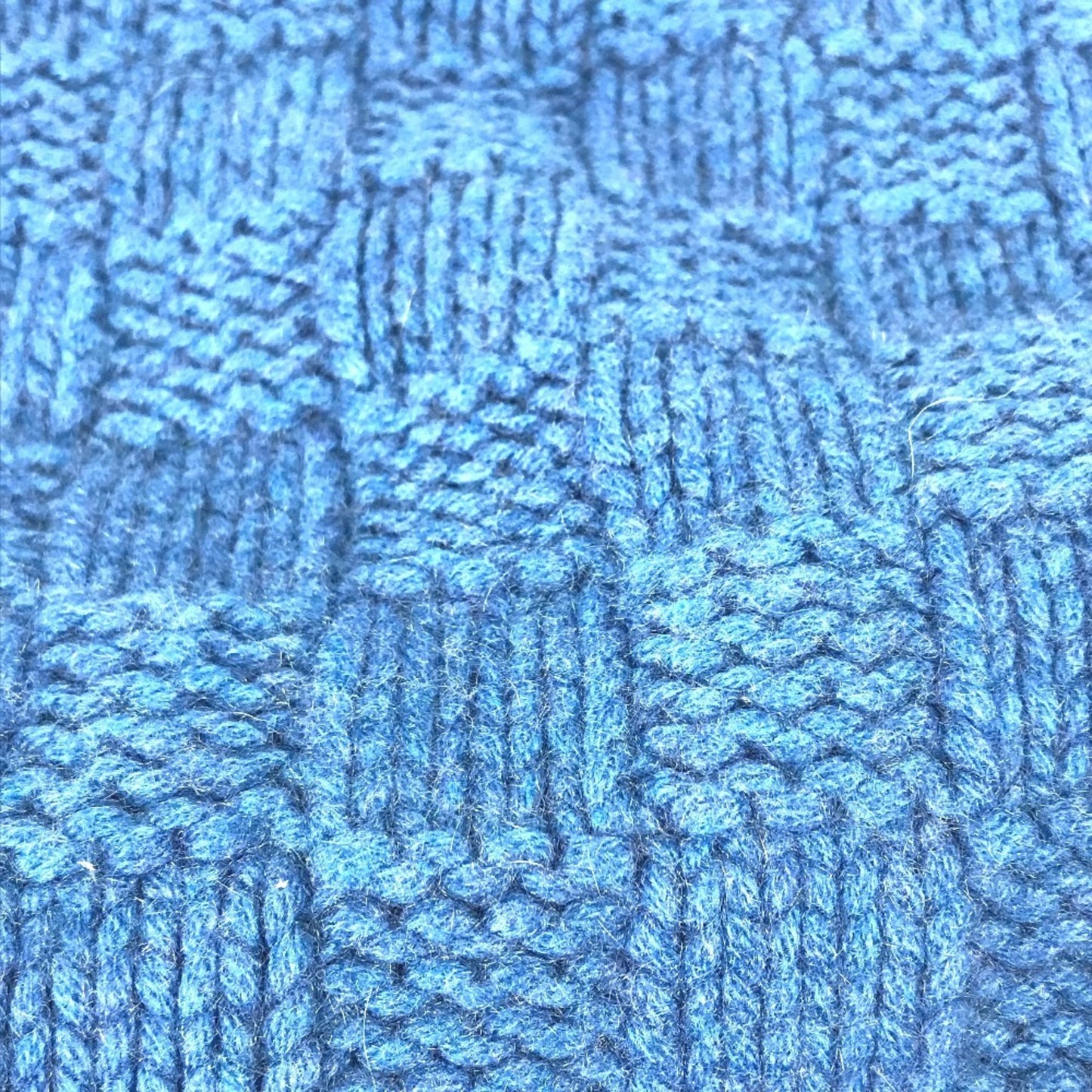 Louis Vuitton Cashmere Blue Scarves