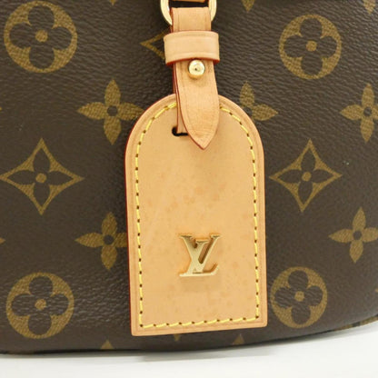 Louis Vuitton Coated Canvas Brown Handbags