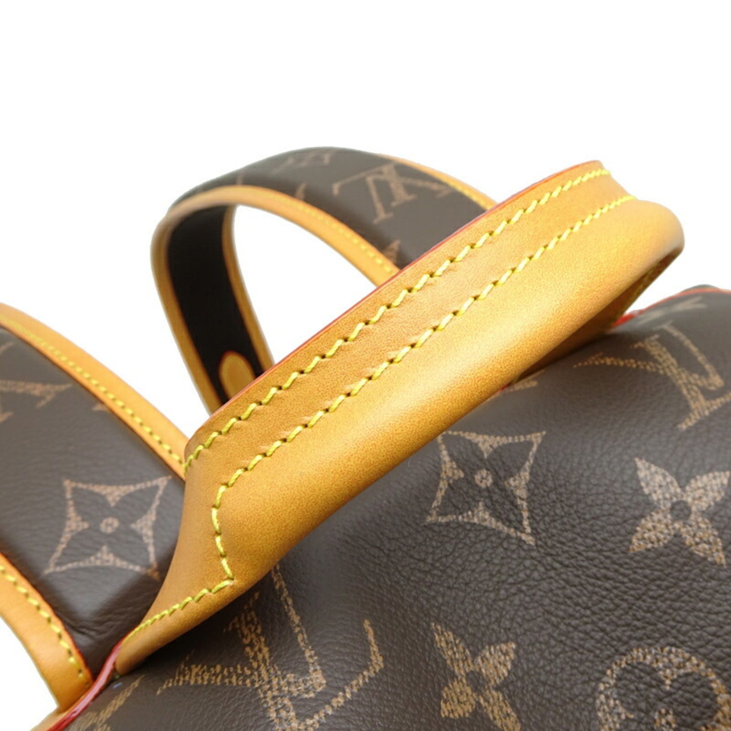 Louis Vuitton Others Brown Backpacks