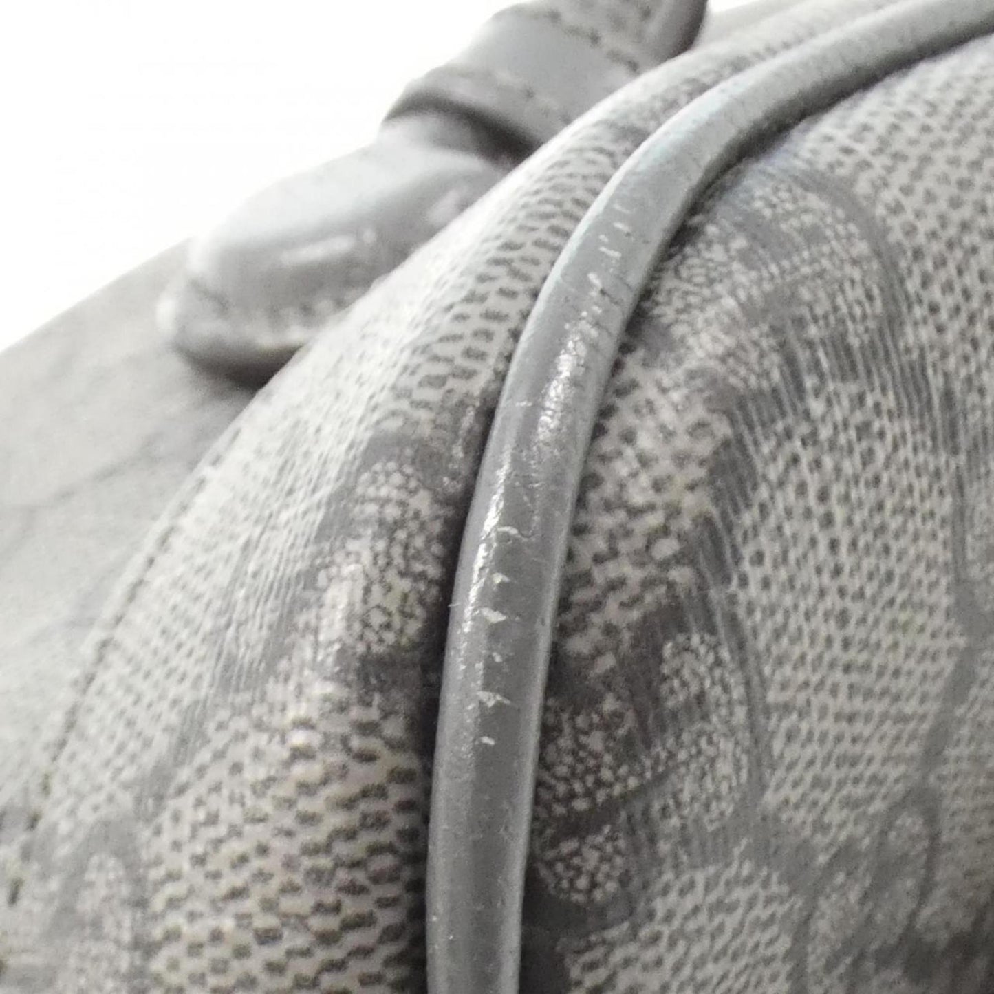 Gucci Others Gray Backpacks