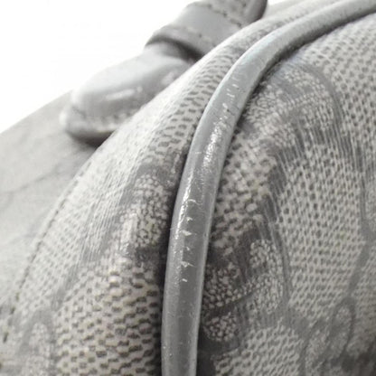 Gucci Others Gray Backpacks