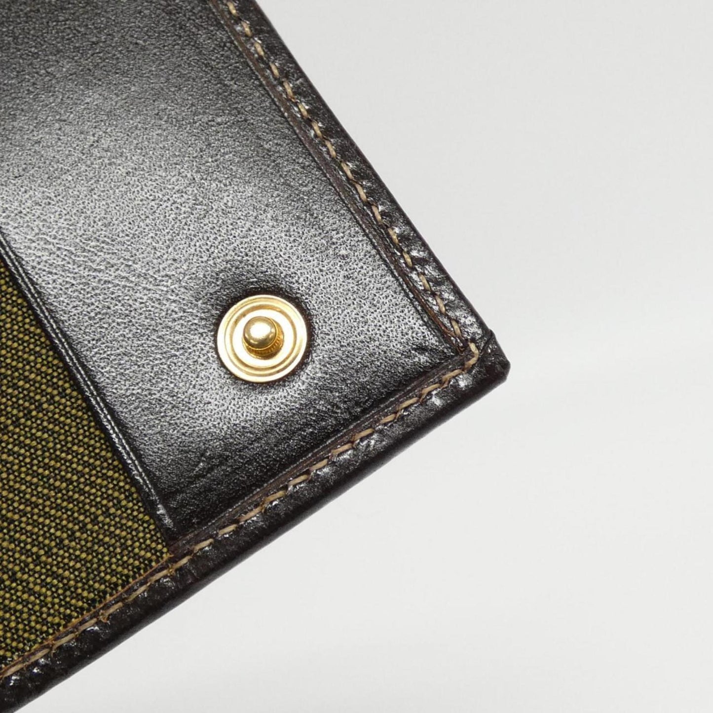 Fendi Canvas Brown Cases