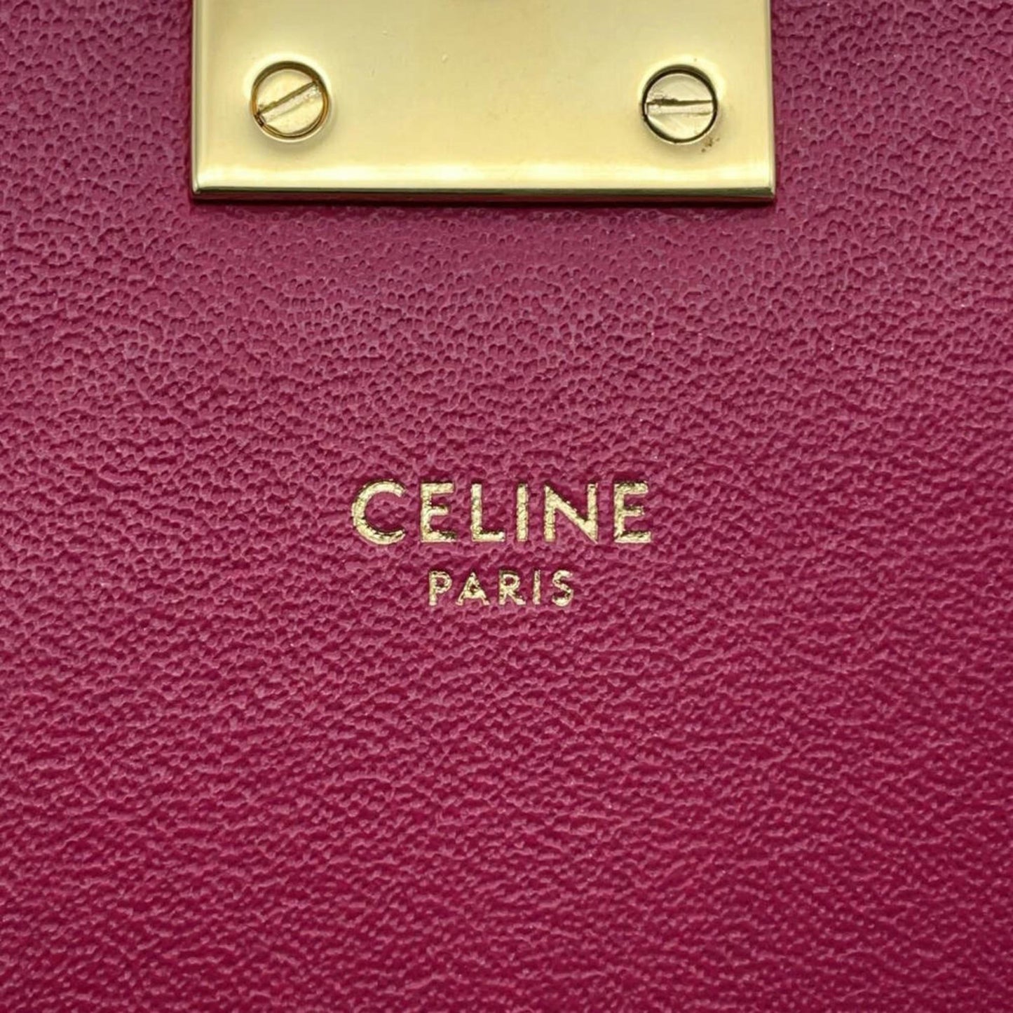 Celine Others Pink Shoulder Bags