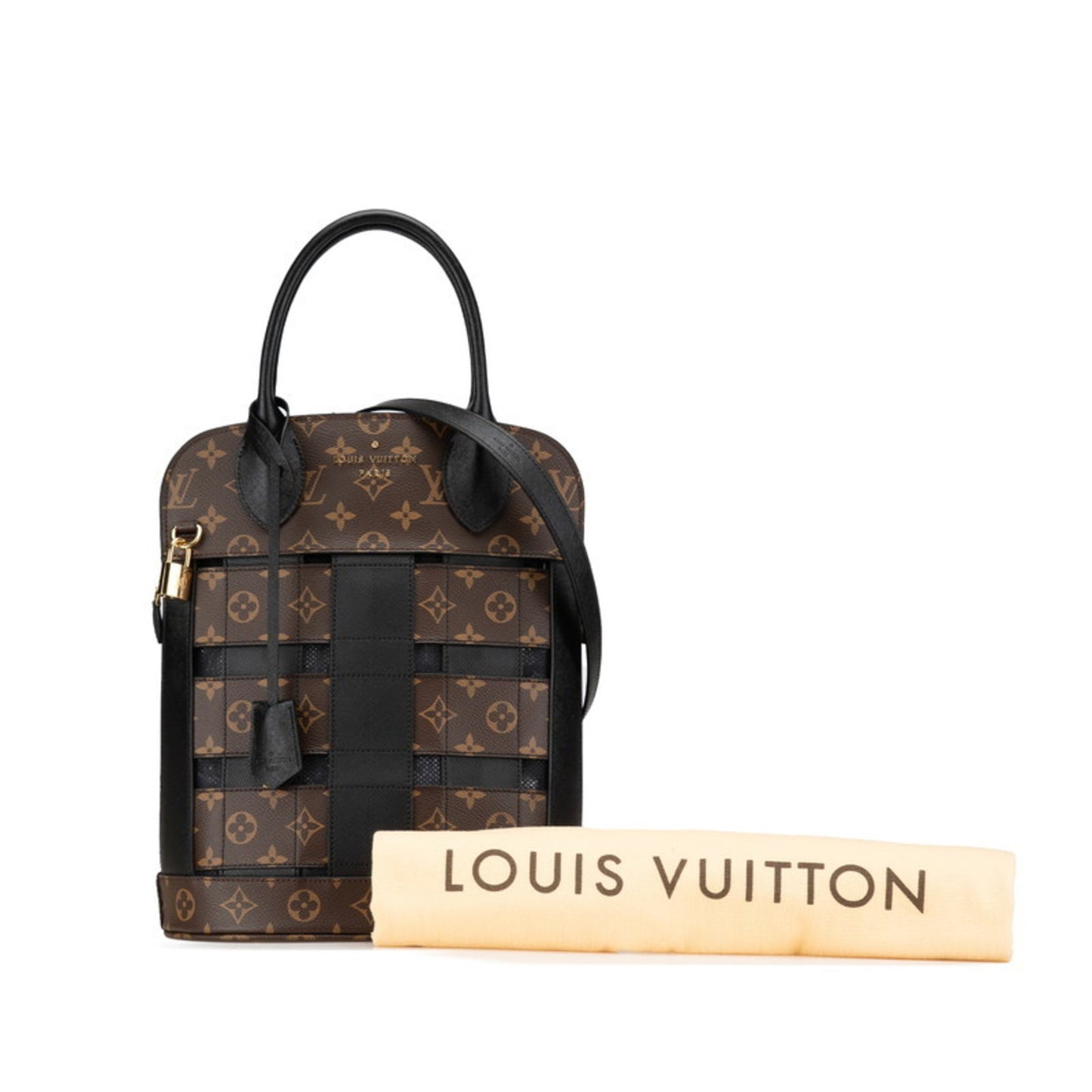 Louis Vuitton Pvc Black Handbags