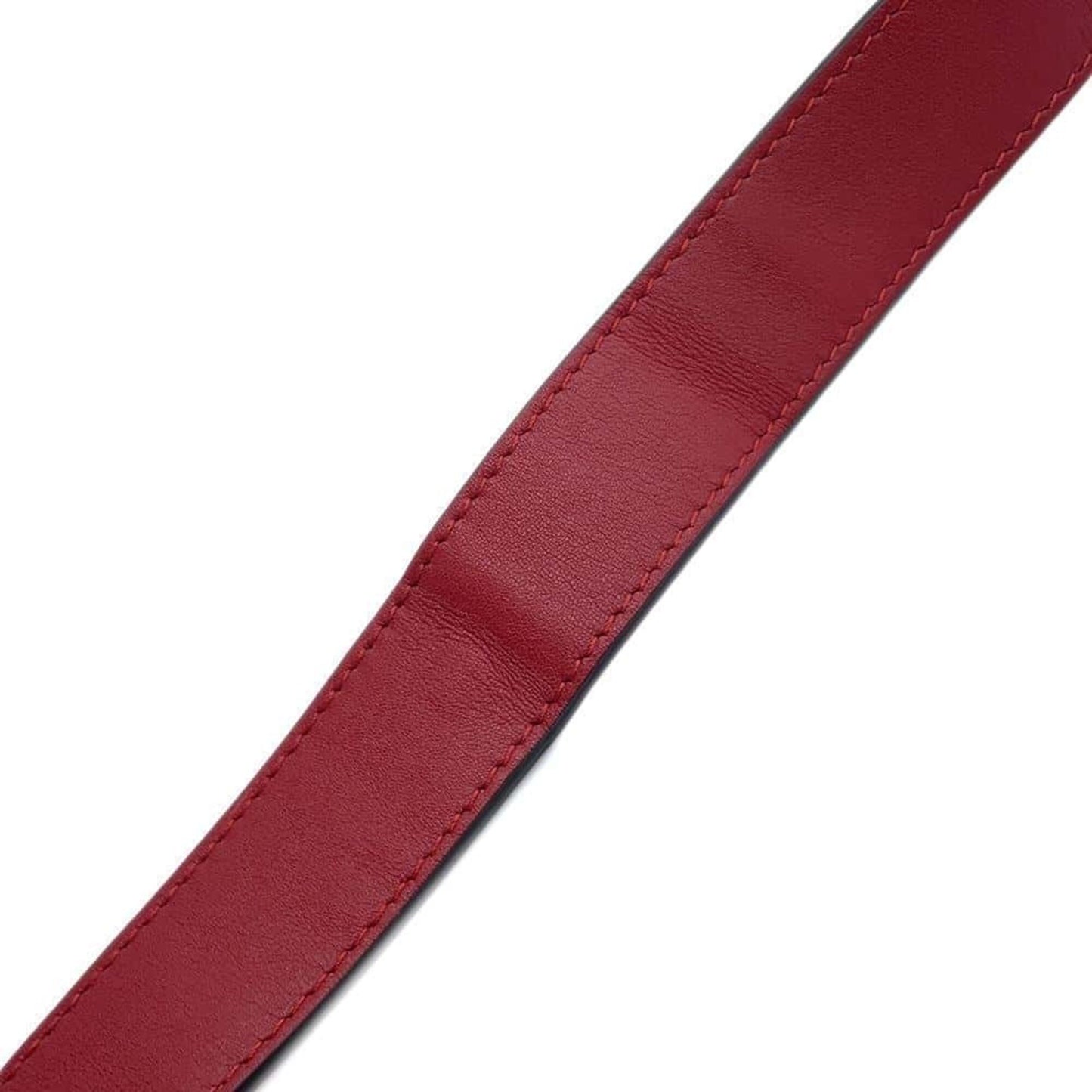 Gucci Others Red Crossbody Bags