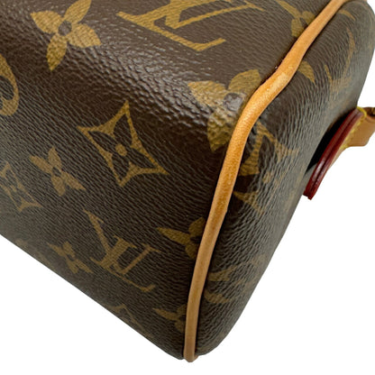 Louis Vuitton Monogram Canvas Brown Handbags