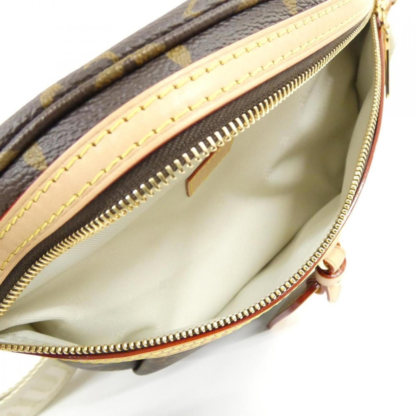 Louis Vuitton Coated Canvas Brown Handbags