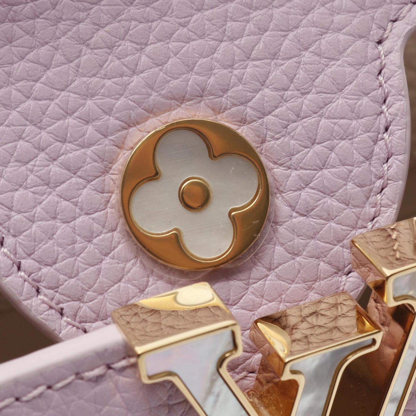 Louis Vuitton Others Purple Handbags