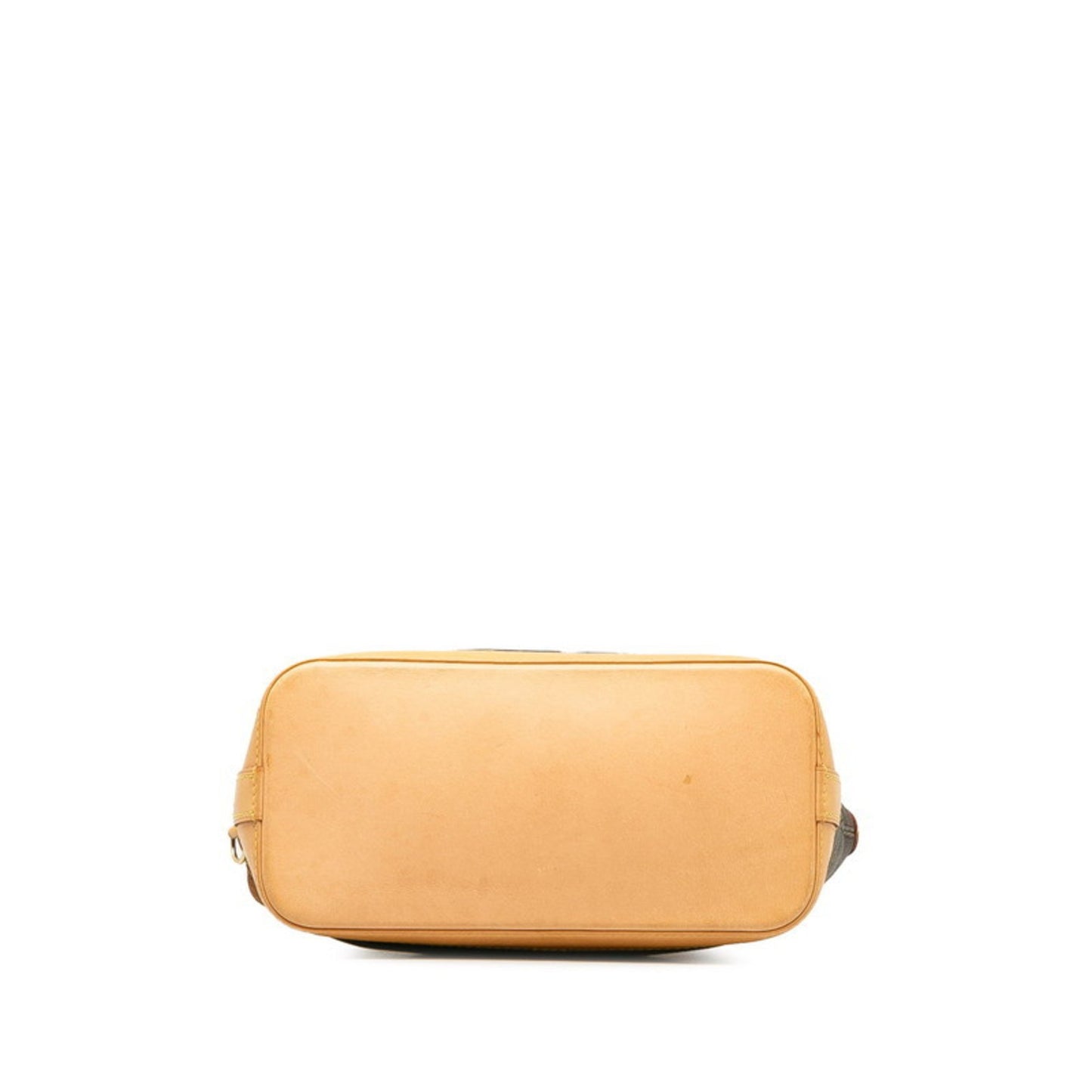 Louis Vuitton Pvc Brown Handbags