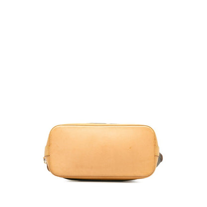 Louis Vuitton Pvc Brown Handbags