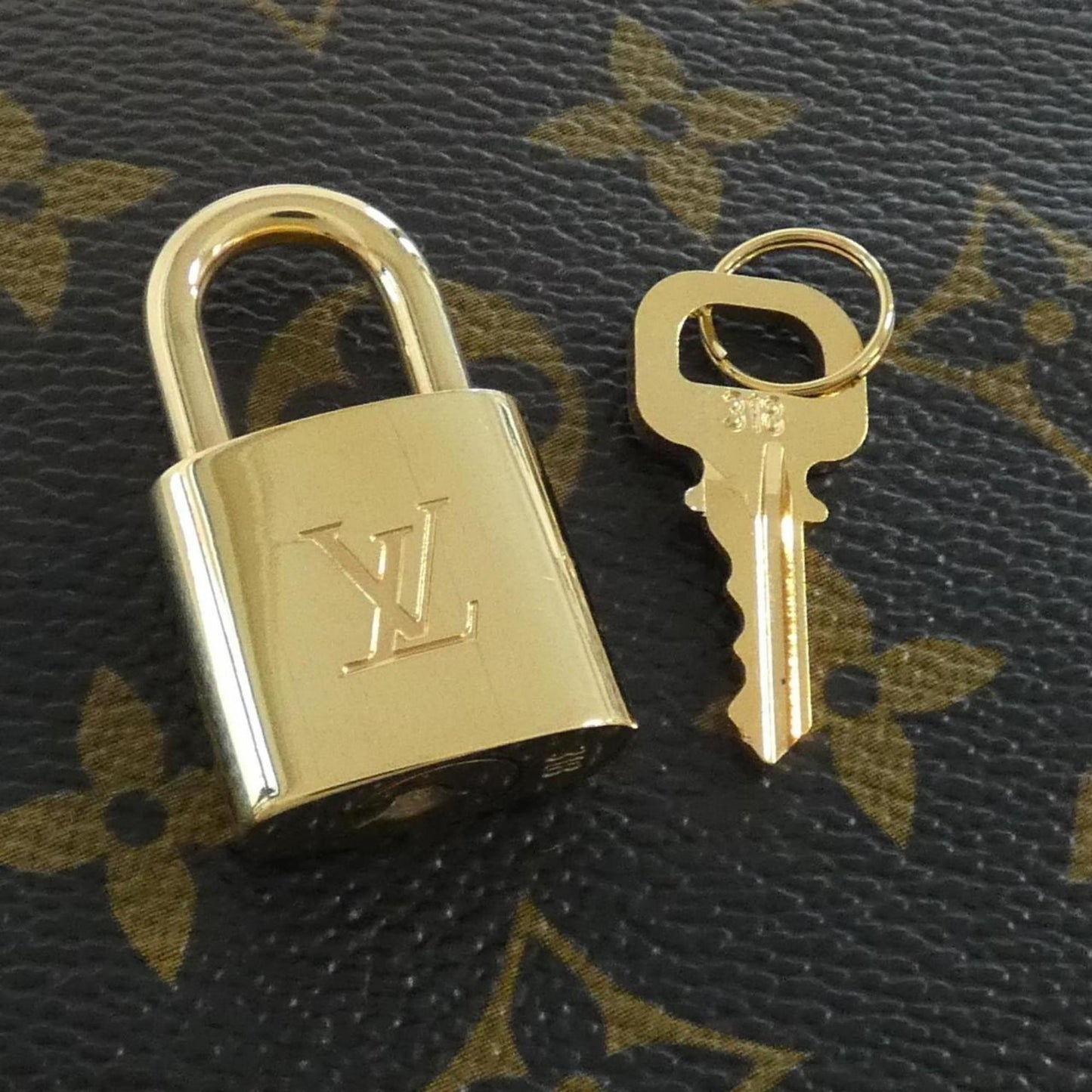 Louis Vuitton Coated Canvas Black Travel Bags