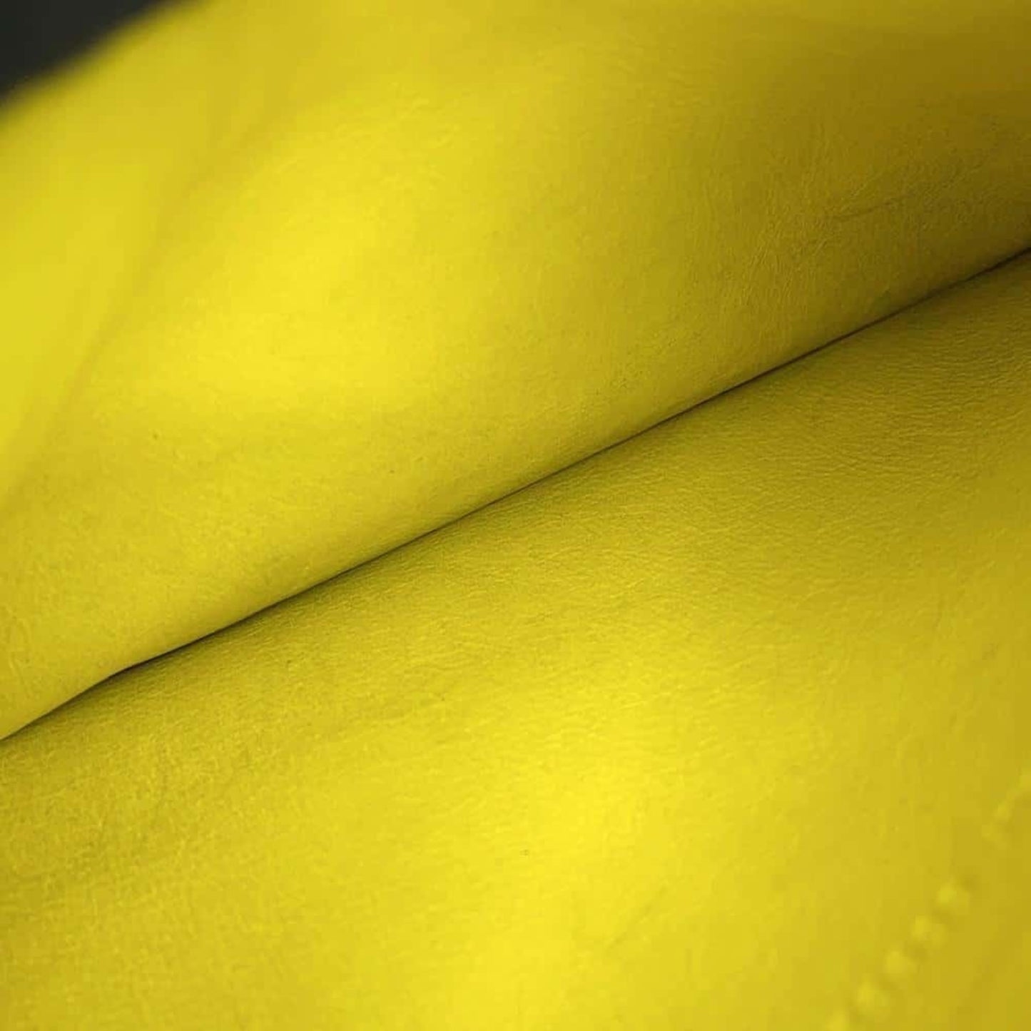 Balenciaga Others Yellow Handbags