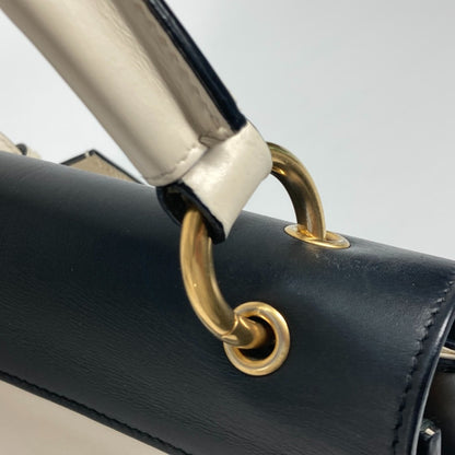 Gucci Others Black Handbags