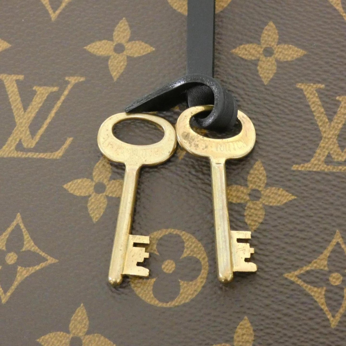 Louis Vuitton Coated Canvas Brown Handbags