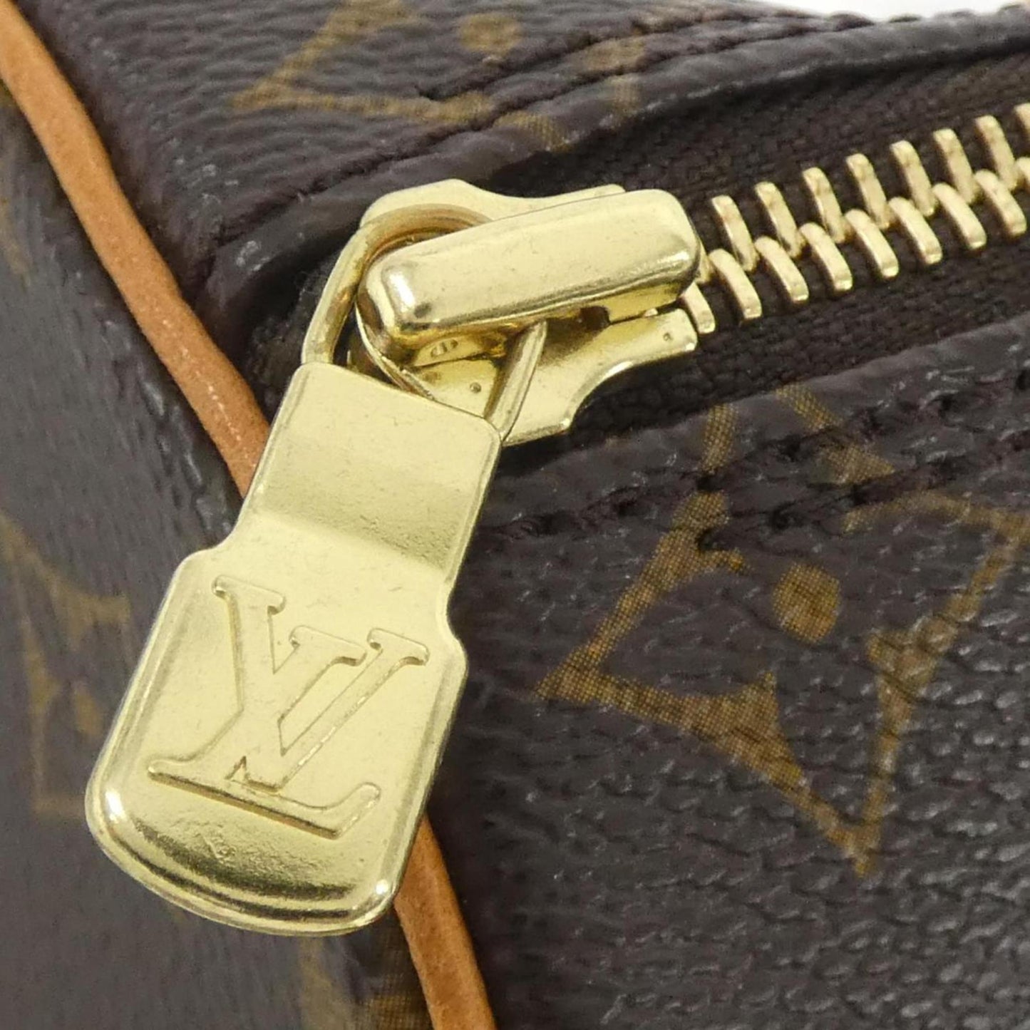 Louis Vuitton Monogram Canvas Brown Handbags