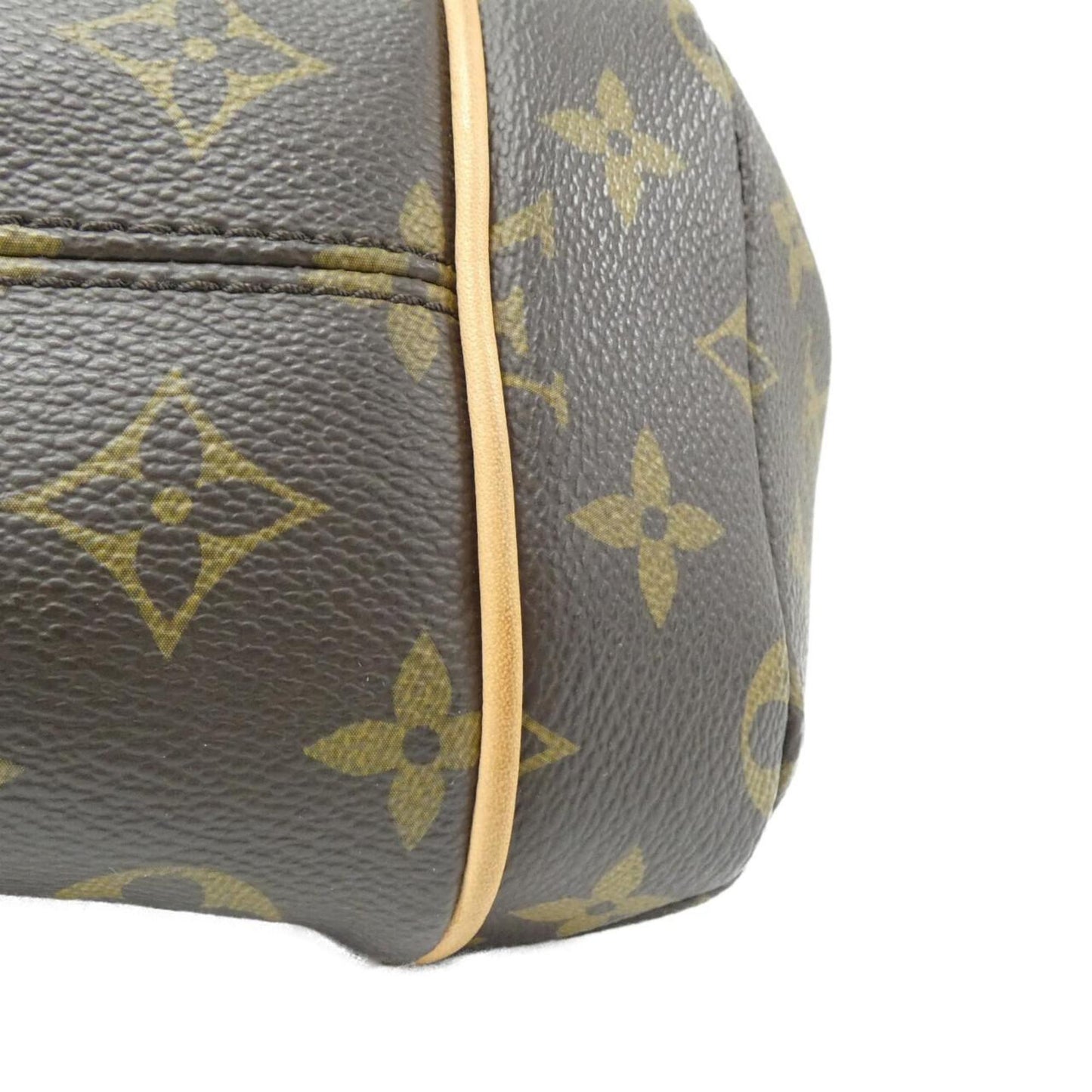 Louis Vuitton Monogram Canvas Brown Handbags