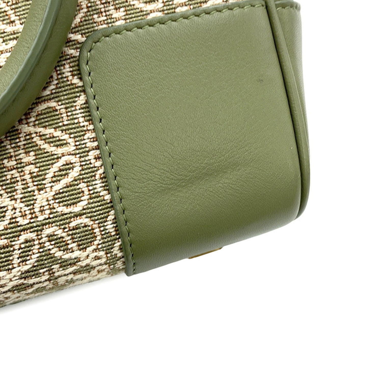 Loewe Canvas Green Handbags