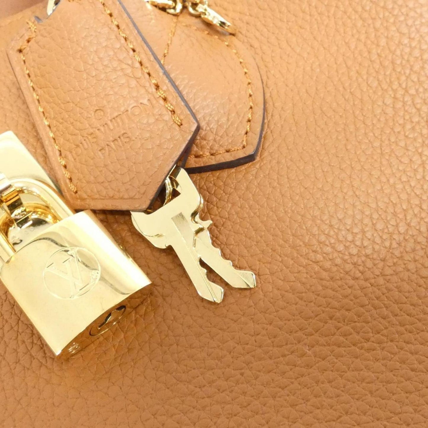 Louis Vuitton Others Gold Handbags