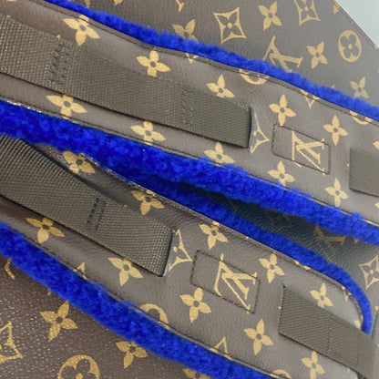 Louis Vuitton Monogram Canvas Blue Backpacks