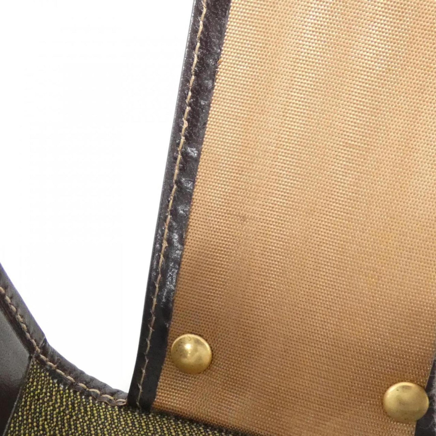 Fendi Canvas Brown Cases